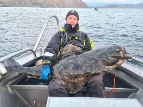 fiske (142)