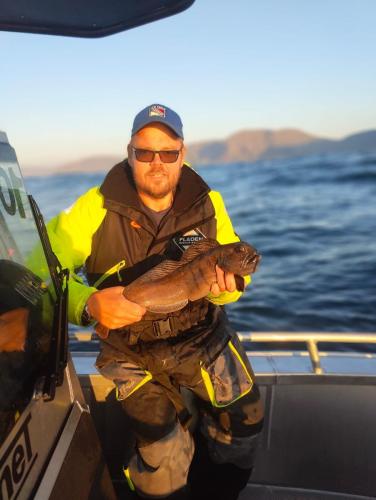 fiske (70)